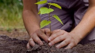 У тернопільських парках потрібні робочі руки