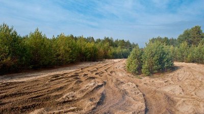 Нову транспортну мережу Тернополя замовлять у Львові?