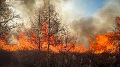 Вогняна стихія вирує на Тернопільщині: на вихідних ліквідували майже шістдесят пожеж. ФОТО