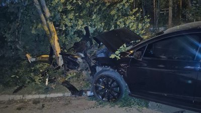 Ховався в кущах: у поліції розповіли деталі ДТП, яку скоїв п'яний водій "Тесли"