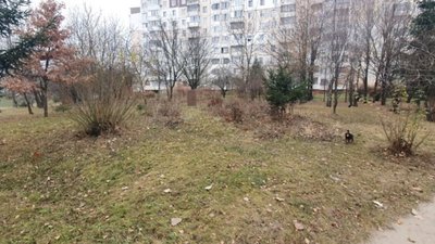 У Тернополі хочуть встановити ще один пам’ятник: відомо, кому саме