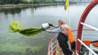 У тернопільський став вилили зелену "пасту". ФОТО