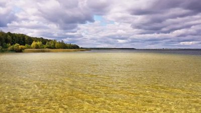 Величезні рої атакують людей: на популярному курорті на заході України - нашестя комах. ВІДЕО