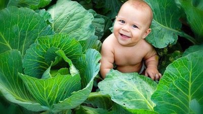 Менше народжується, більше помирає: скільки людей зараз проживає на Тернопільщині