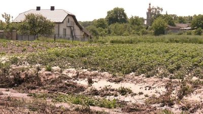 Вода несла все - курей, свиней: мешканці села на Тернопільщині оговтуються від потопу. ВІДЕО