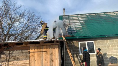 Десять свиней загинуло внаслідок пожежі на Тернопільщині. ФОТО