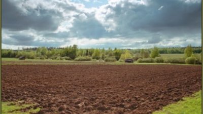 На Тернопільщині суд повернув від недобросовісного орендаря 44 гектари землі