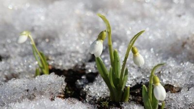 За вікном майже весна: якої погоди чекати на Тернопільщині