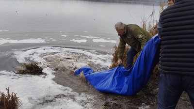 У Серет запустили більше двох тон риби