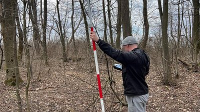 Тернопільських лісників підозрюють у незаконних вирубках