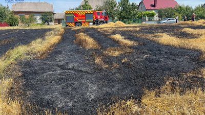 Вогонь перекинувся до сусідів: на Тернопільщині спіймали чергового палія. ФОТО