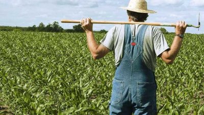 Стартує проєкт грантів для малих фермерів