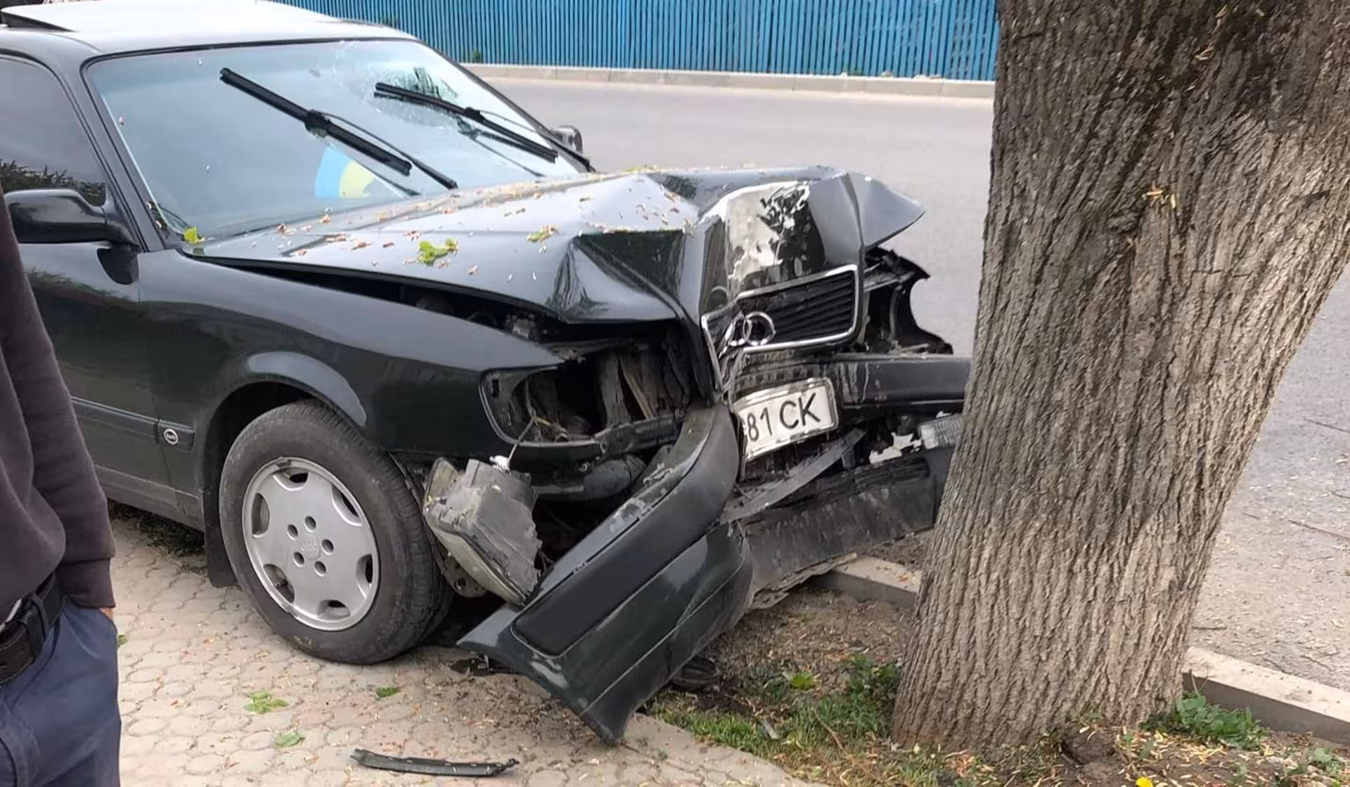 Зупинило дерево: на Тернопільщині п'яний священник скоїв ДТП. ВІДЕО