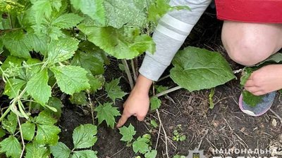 Молодицю заскочили за дуже непристойним заняттям. ФОТО