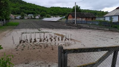 Потік води ринув на село: стихія накоїла лиха на Тернопільщині. ФОТО