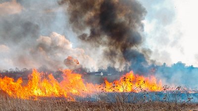 На Тернопільщині під час спалювання сміття загинула жінка