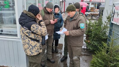 На Тернопільщині спіймали перших у цьому сезоні "ялинкових браконьєрів"