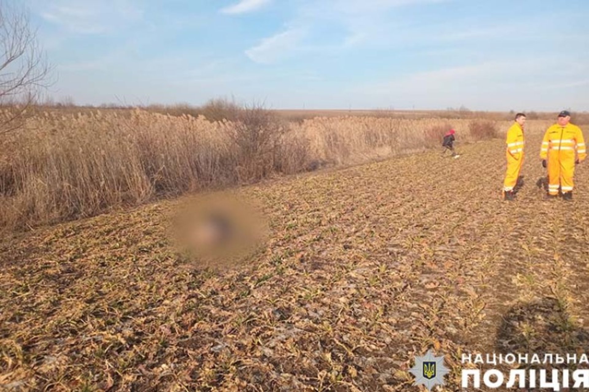 Тіло зниклого підлітка знайшли в полі: у поліції розповіли деталі трагедії