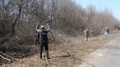 Чоловіка, котрий облаяв старосту села, відправили на громадські роботи