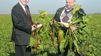 У Напори похвалилися, як вони гарно зібрали урожай