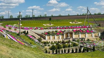 Райська краса: у селі неподалік Тернополя біля польового джерела облаштували "Єлисейські поля". ФОТО