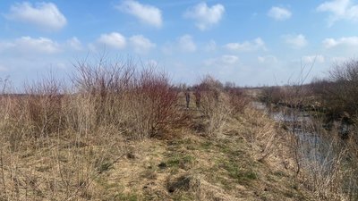 На Тернопільщині знайшли тіло чоловіка, котрий вважався зниклим безвісти ще з листопада