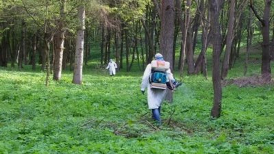 У тернопільських парках будуть труїти кліщів: відомо коли і де саме