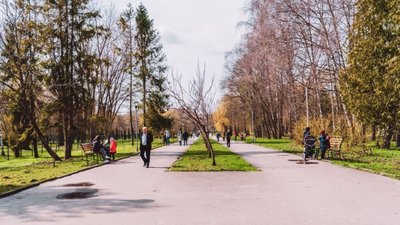 Загальноміську толоку проведуть у Тернополі