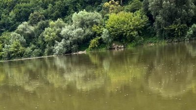 У Збручі знайшли тіло чоловіка, котрий зник ще в неділю