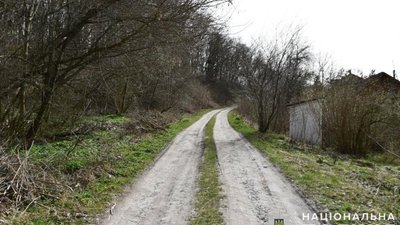 Зґвалтував і пограбував: біля Тернополя злочинець-рецидивіст напав на жінку