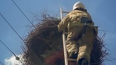 Рятувальники визволили із пастки лелеку. ФОТО
