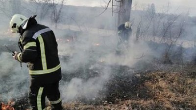 Лише за добу мешканці Тернопільщини спалили два гектари трави