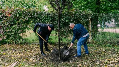 У тернопільському парку висадили сливи "Піссарді". ФОТО