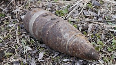 Несподівана знахідка: на Тернопільщині на дереві виявили... артилерійський снаряд