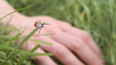 Тернополян просять сьогодні не відвідувати два парки