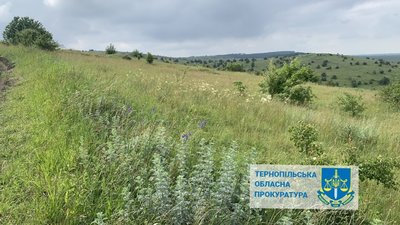 Землі заказника на Тернопільщині незаконно передали фермеру