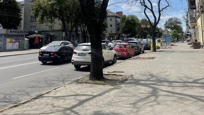 Сухі, хворі і старі: у центрі Тернополя зріжуть два десятки каштанів