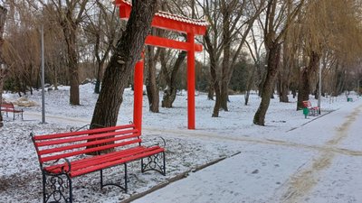 Терапевтичний японський сад облаштовують у Тернополі. ФОТО