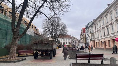 Іменні дерева будуть висаджувати у Тернополі