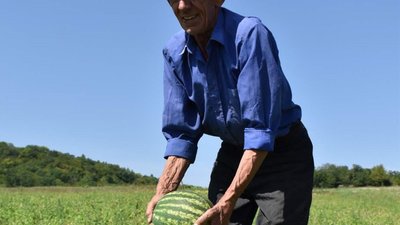 Мешканець Тернопільщини вирощує... кавуни