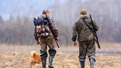 На Тернопільщині дозволили полювати у населених пунктах