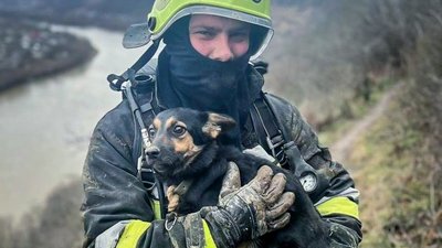 Надзвичайники врятували собаку, який впав у глибоку ущелину на схилі Дністра. ФОТО