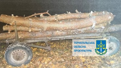 У Дністровському каньйоні вирубали дерева: хто відповість?