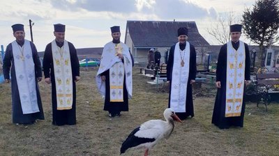 Молився з людьми: під час богослужіння за героїв Небесної Сотні до церкви прилетів лелека. ФОТО