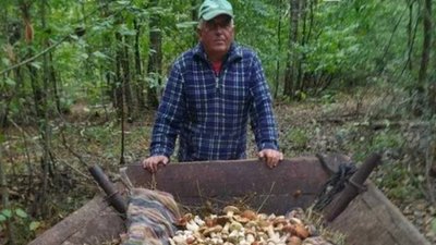 Цілий віз грибів зібрала сім'я в сусідній з Тернопільщиною області. ФОТО