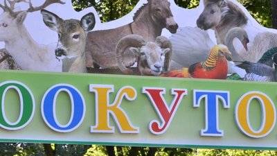 Деяких тварин із зоокутка в парку "Сопільче" продадуть на аукціоні