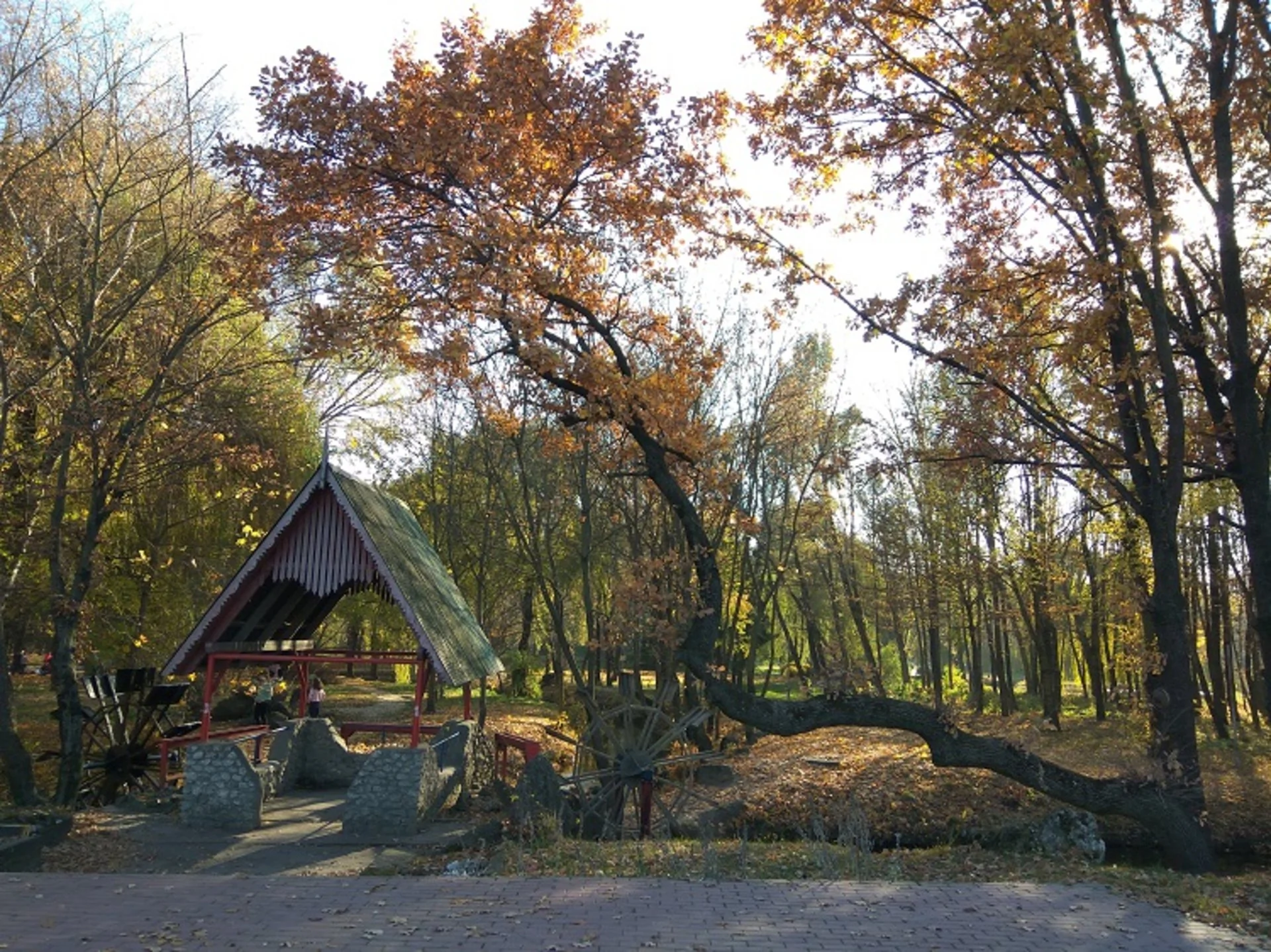 "Тернопільська Венеція": як у місті будуть розвивати парки